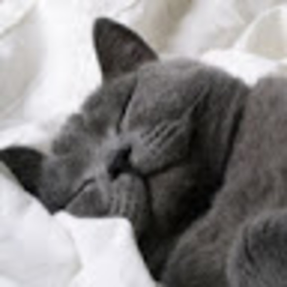 Meet your Posher, Kayla - Picture 1 of 1